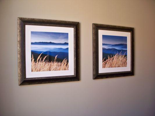 Anysize Art And Plants