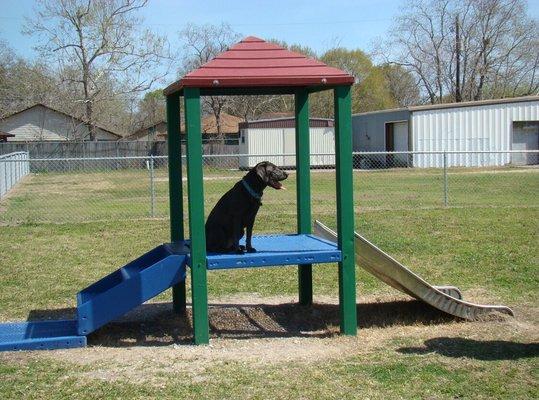 Officer Cash Memorial Dog Park