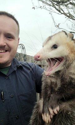 Urban Jungle - San Antonio