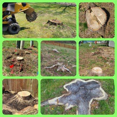 Gram Stump Grinding