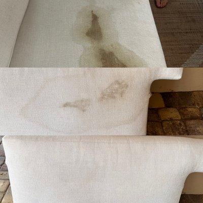 Greener Southeast Upholstery & Flooring Care