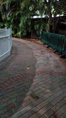 Just one pass - see the difference!