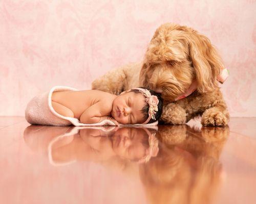 James Hill Photography