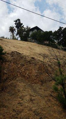 Arcadian Tree Service And Landscape