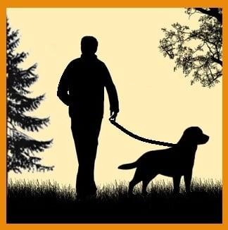 Pet Sitters of SE Michigan