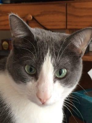 Wind Lake Animal Hospital