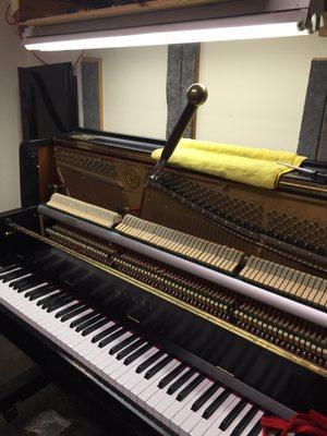 Tomo's Piano Service