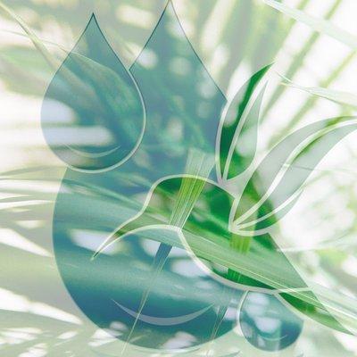 Drip Drop IV Hydration & Wellness