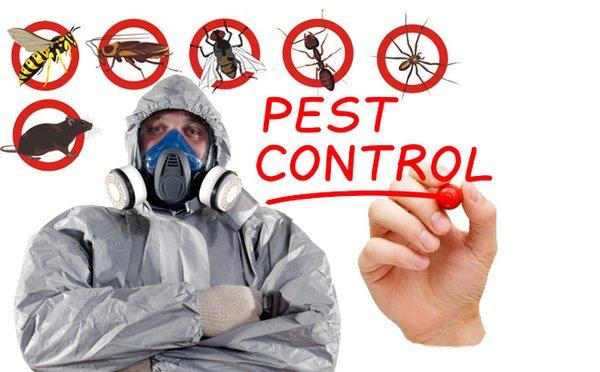 Beebe's Pest Control