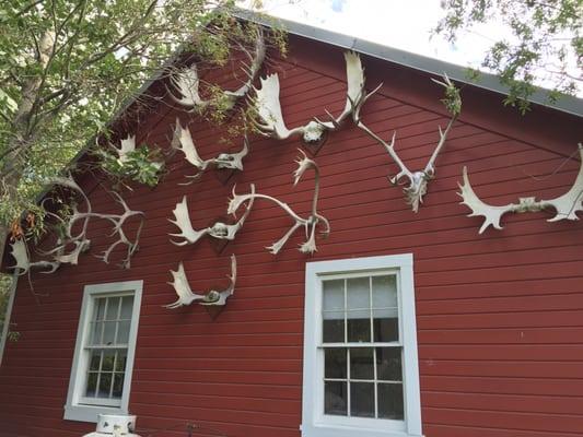 Interesting adornment on side of bunkhouse cottage.