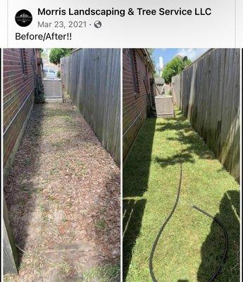 Morris Landscaping & Tree Service