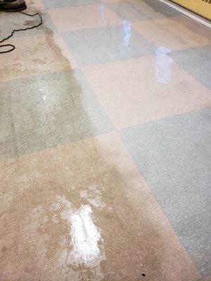 Cleanrite Commercial Cleaning