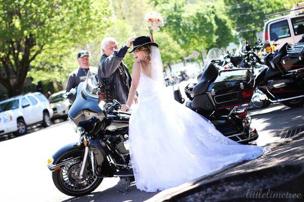 Little Lime Tree Photography