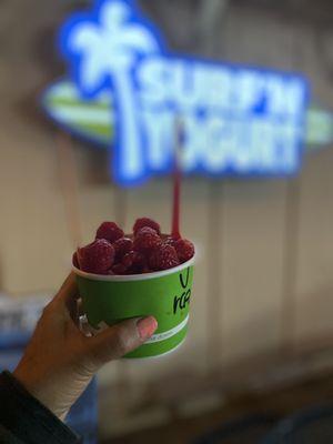 Surf N' Yogurt