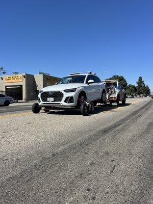 Saul Towing