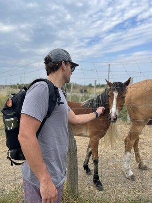 France Go with Kelly