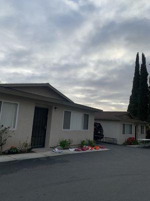 Esplanade Apartments