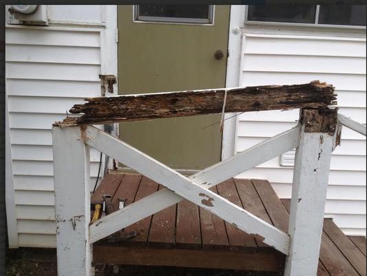 Pestmaster Services of North State California