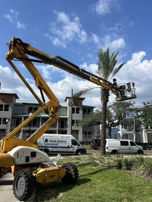 Harvey’s Tree Surgeons