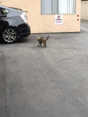 Alliance Gardens Apartments