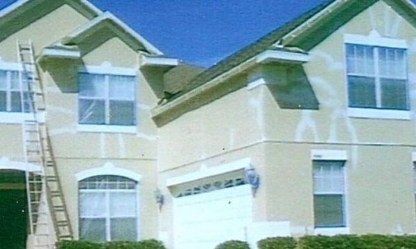 Painting & Wildlife Removal