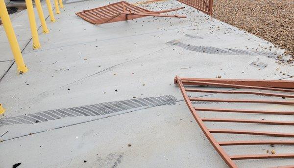 Thoroughbred Management