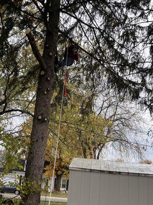 Rubit's Tree Service