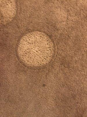 Carpet cleaning spot. It's dirty from normal wear an tear. It should have been removed when I arrived.