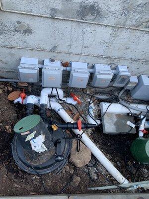 Yellow Lotus Water Gardens