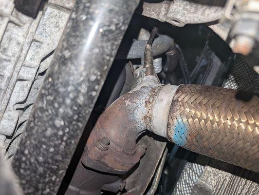 Champion Motorsports