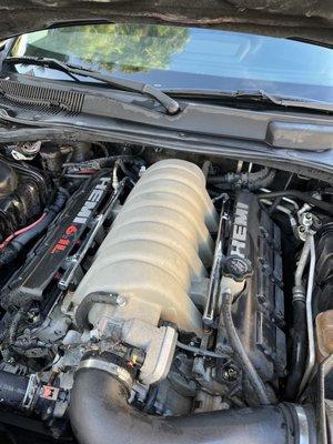 Gerardo Transmissons