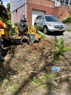 E&H Tree Service/ Landscaping