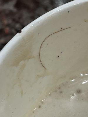 Paleteria Y Neveria El Arco De Michoacan