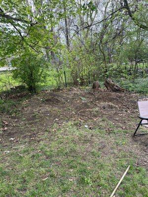 Bold Boys Junk Removal