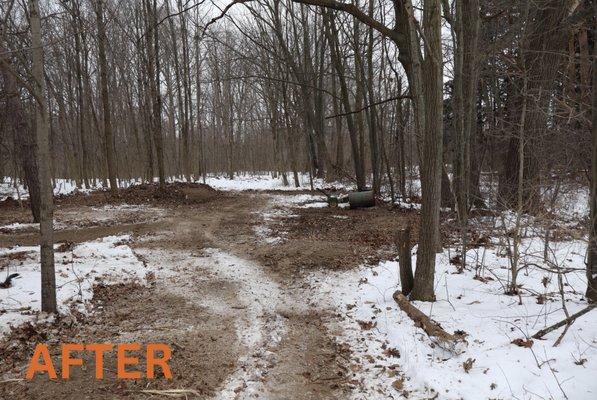 I'm the Guy for That