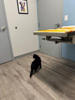 Sunflower Veterinary Center