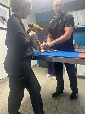 Nora Veterinary Clinic