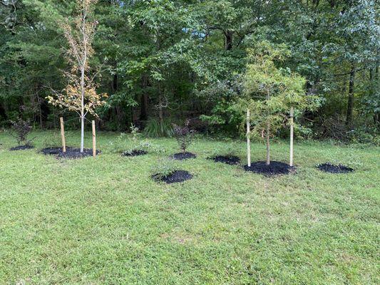 Dixie's Tree and Landscaping