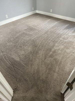 Quick Dry Carpet Cleaning