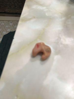 Proud of my hearing aid. Fits to a "T"!