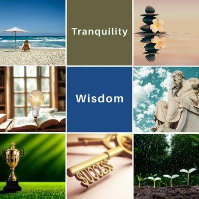 Life Performance Education