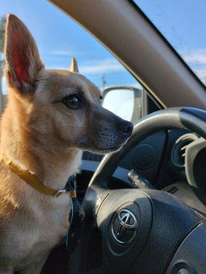 After his wonderful bath at Pono's.