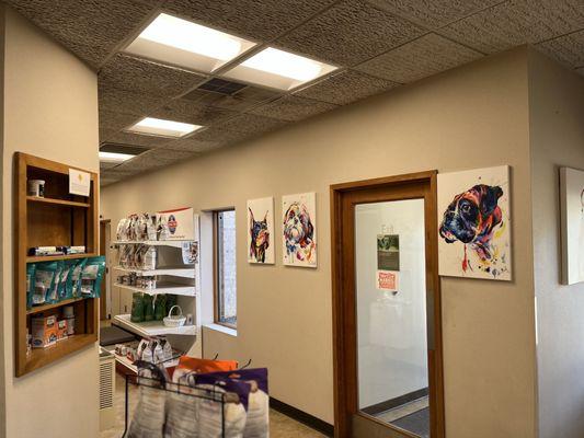 Archdale Animal Clinic