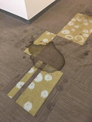 Huge stain that has been here for at least a year.