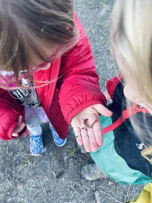 Daily outdoor exploration is key to children's learning and development.