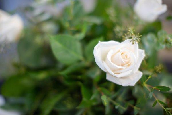 La Bonita Flower Shop