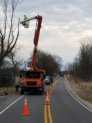 Martin's Tree Service LLC