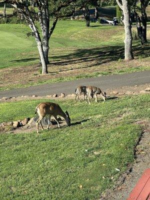 Stone Ridge Golf Club