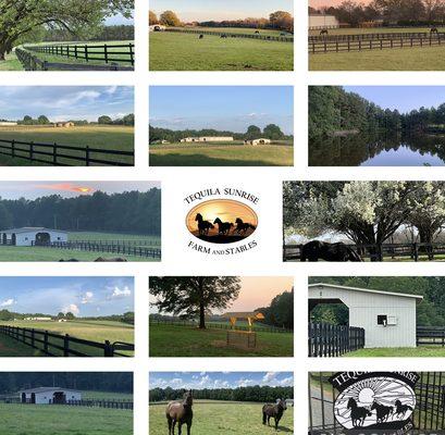 Collage of our favorite scenes!