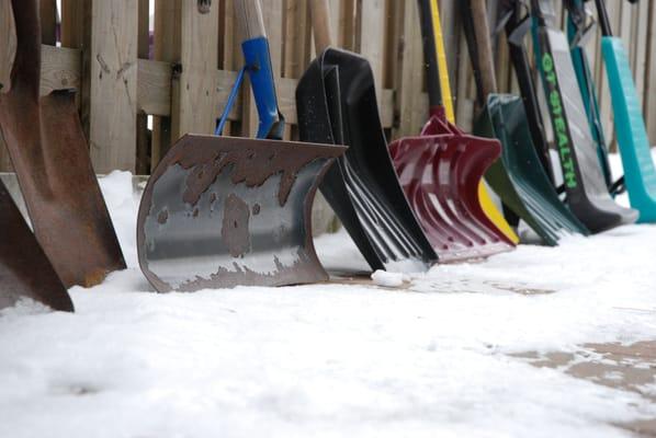 DiCesare Family Chiropractic